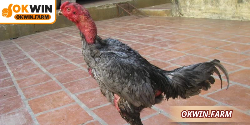 Các biện pháp quan trọng giúp duy trì sức khỏe ổn định