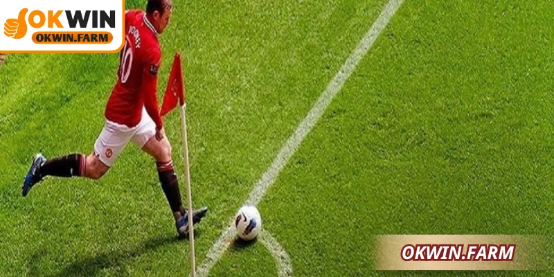 Một số lỗi thường gặp trong quá trình đặt cược