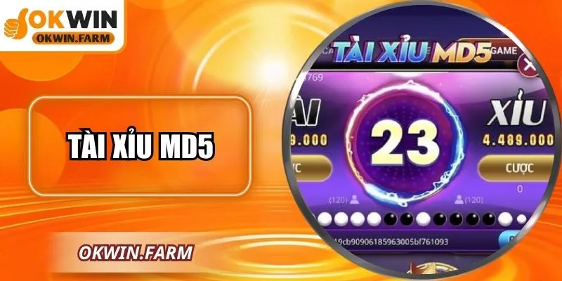 Tài Xỉu MD5 – Sân Chơi Minh Bạch Hàng Đầu Tại OKWIN