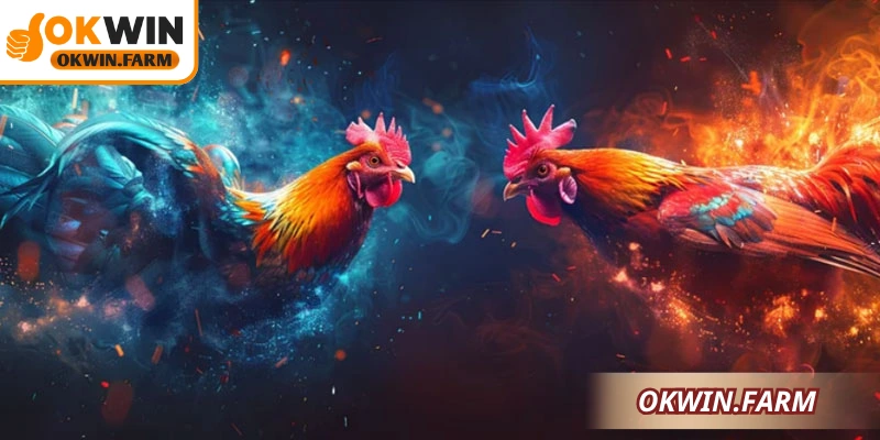 Thuật ngữ chiến kê giúp hội viên nắm rõ cách xác định kết quả và tính năng